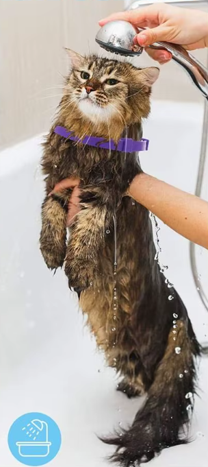 Coleira Antiestresse para Pets