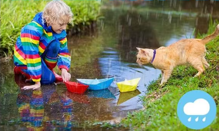 Coleira Antiestresse para Pets